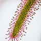 Image for article titled 59 Fiercely Focus Stacked Photos